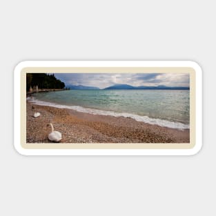 Sirmione Swans Sticker